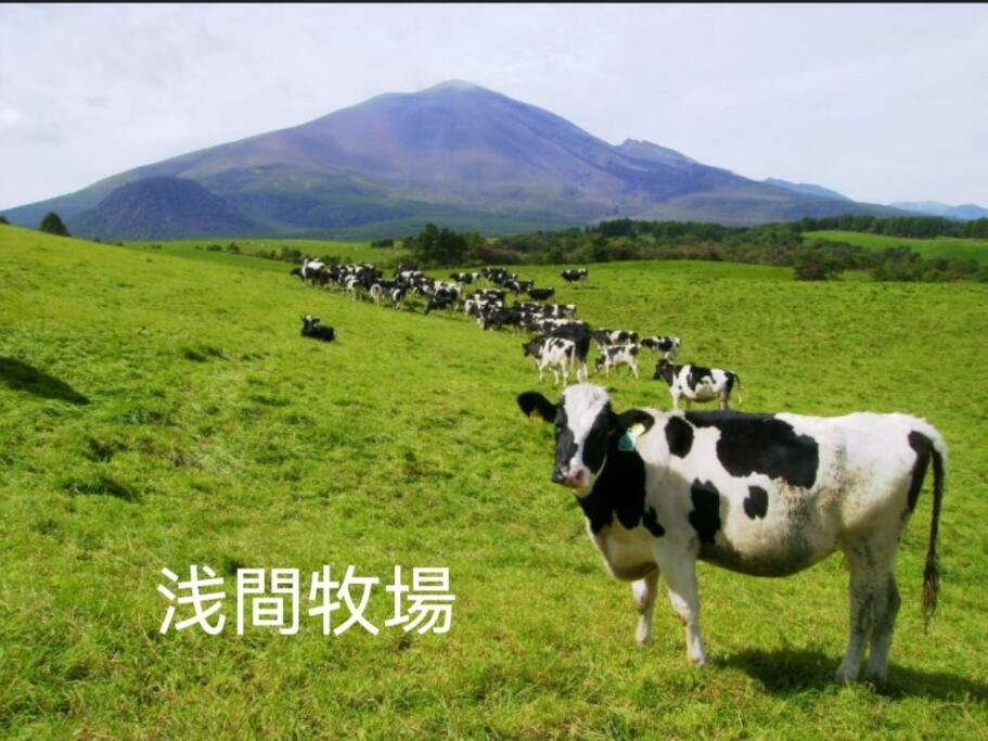 おもちゃ王国と北軽井沢の大自然を満喫できる貸別荘 Karuizawa Exteriér fotografie